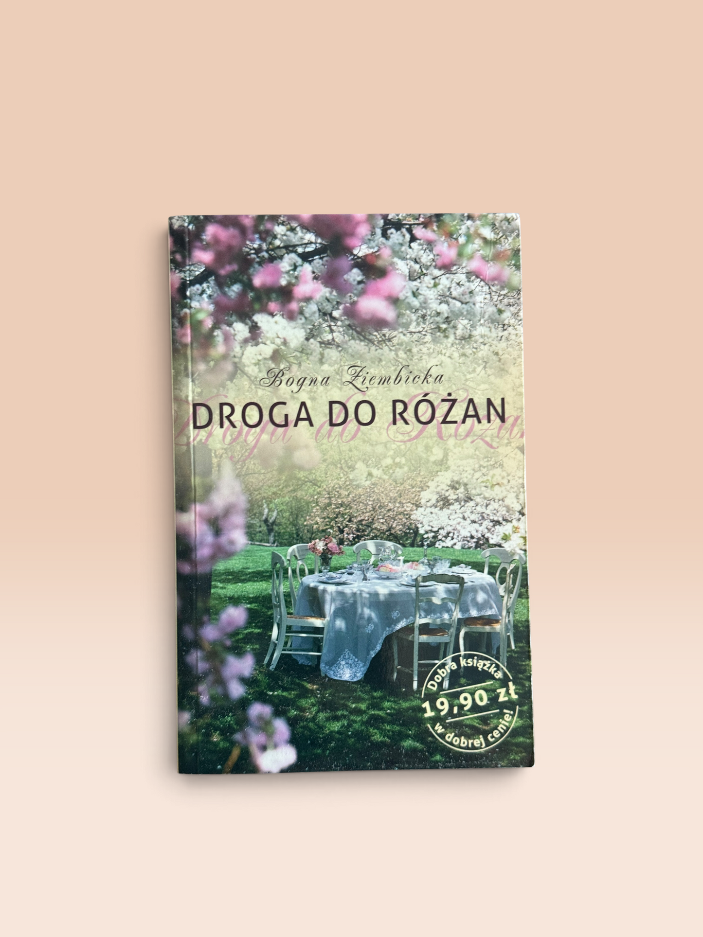 Droga do Różan – Bogna Ziembicka (Książka Używana)
